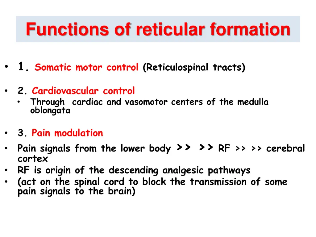 functions of reticular formation