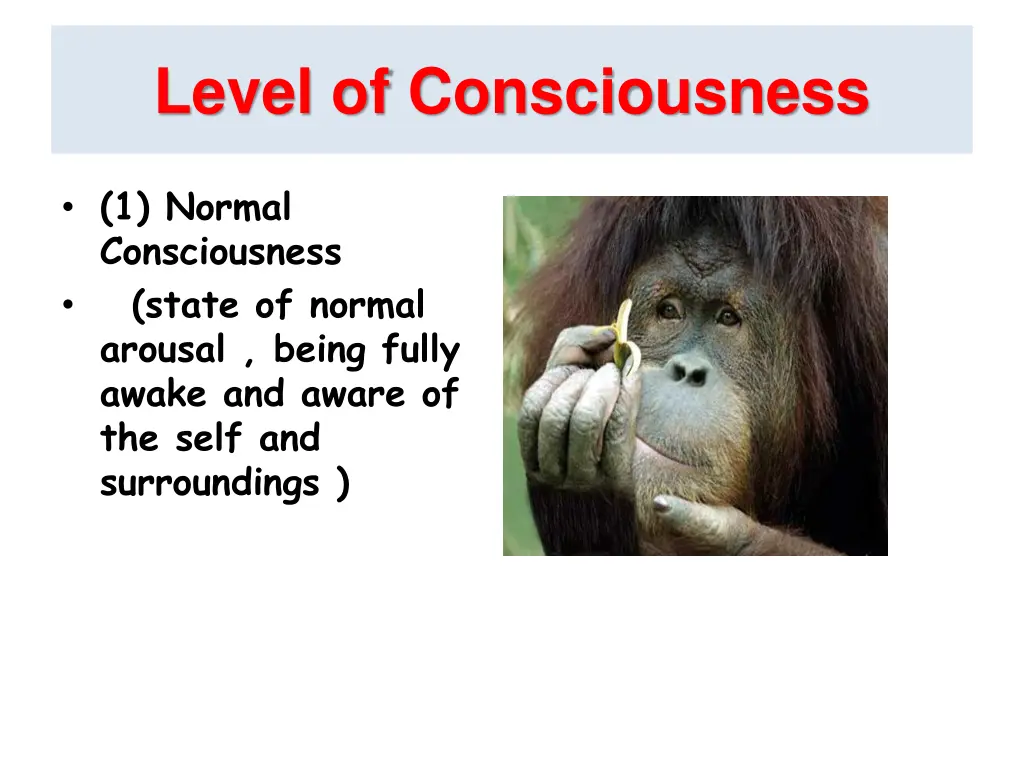 level of consciousness