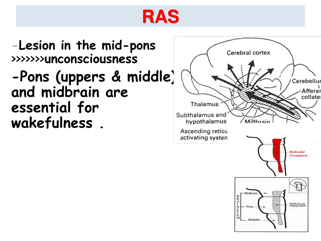 slide20