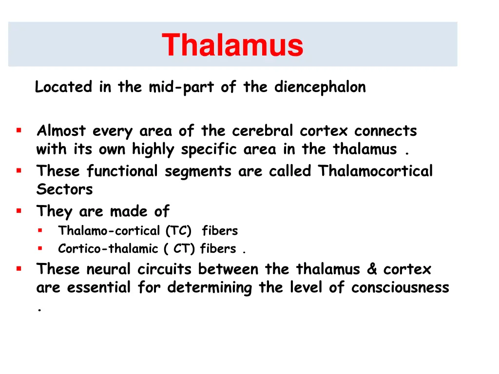 thalamus
