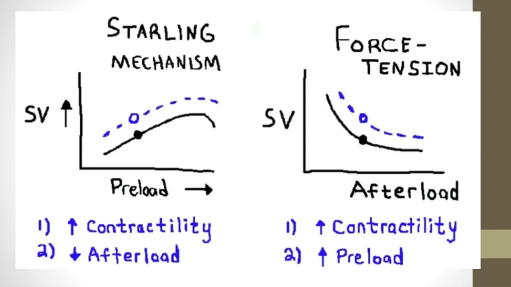 slide9