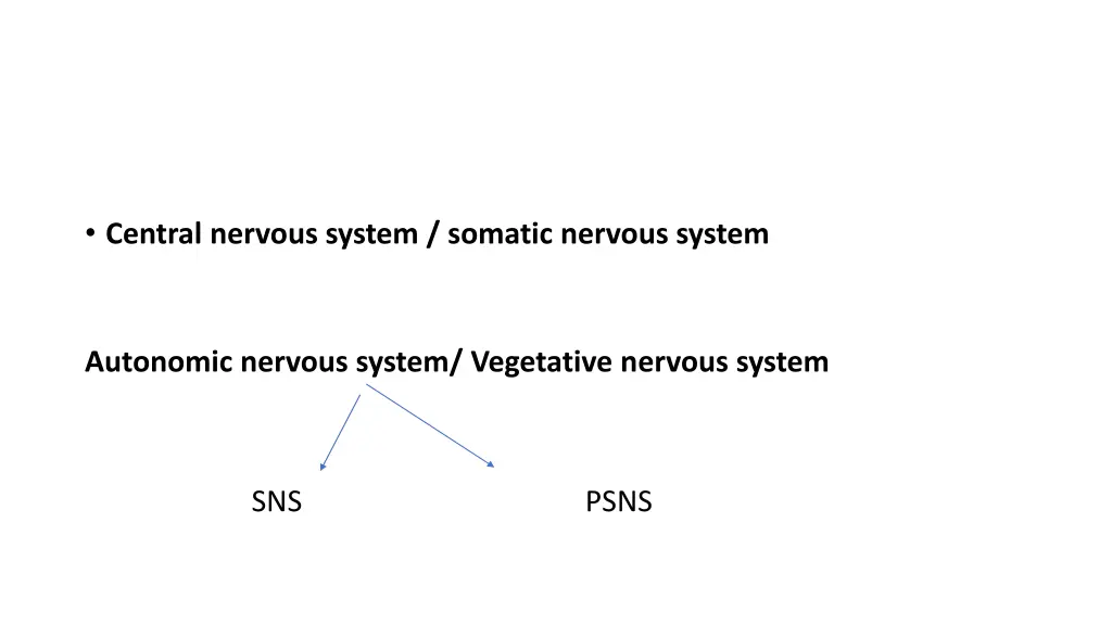 central nervous system somatic nervous system