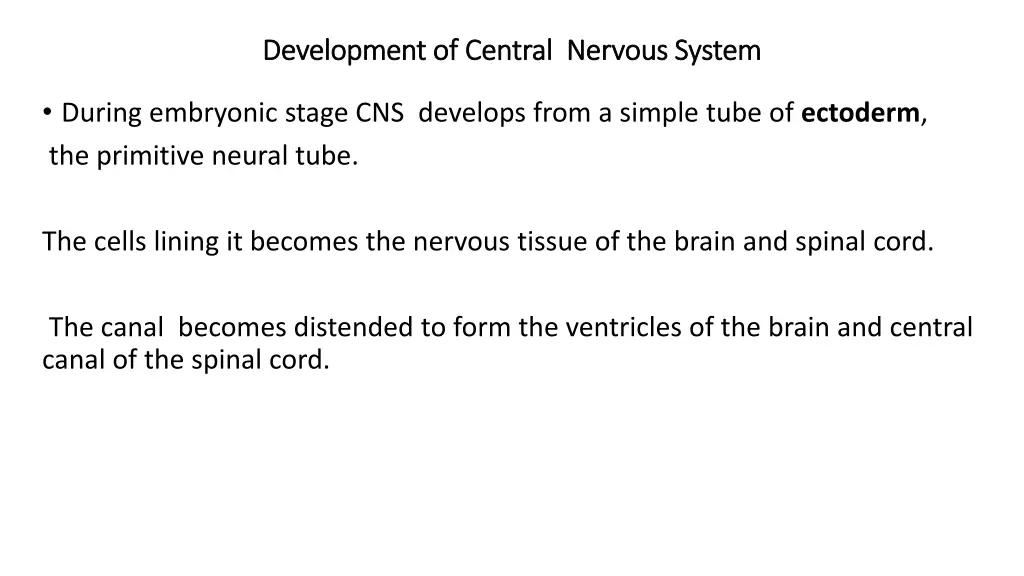 development of central nervous system development