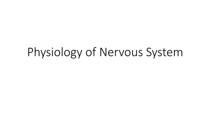 physiology of nervous system
