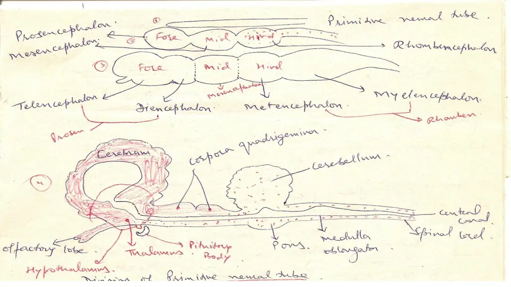 slide9