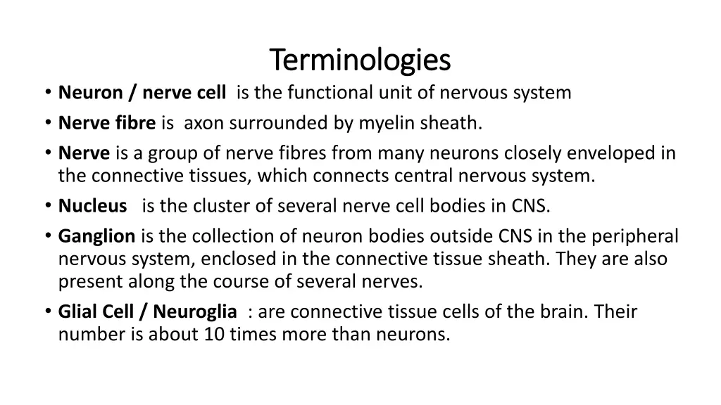terminologies terminologies