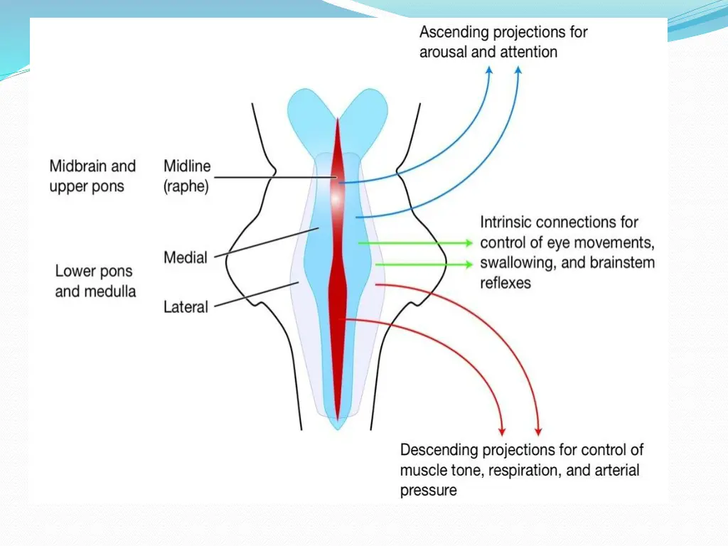 slide19