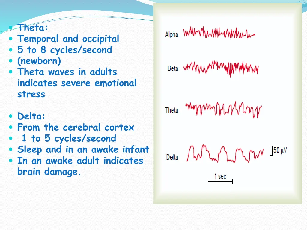 theta temporal and occipital 5 to 8 cycles second