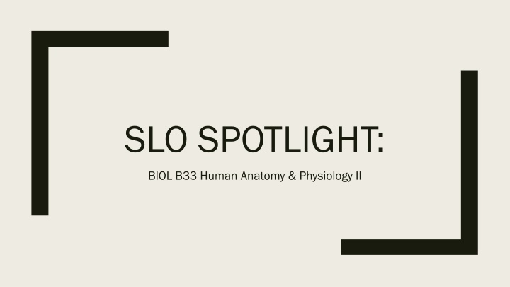 slo spotlight