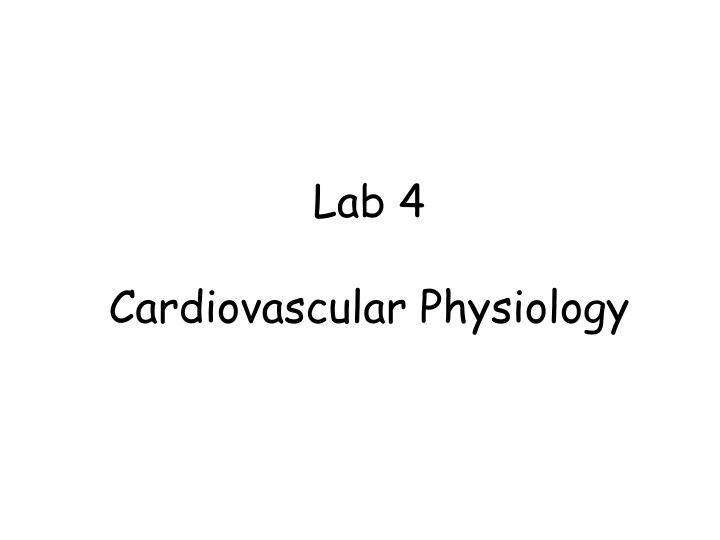 lab 4