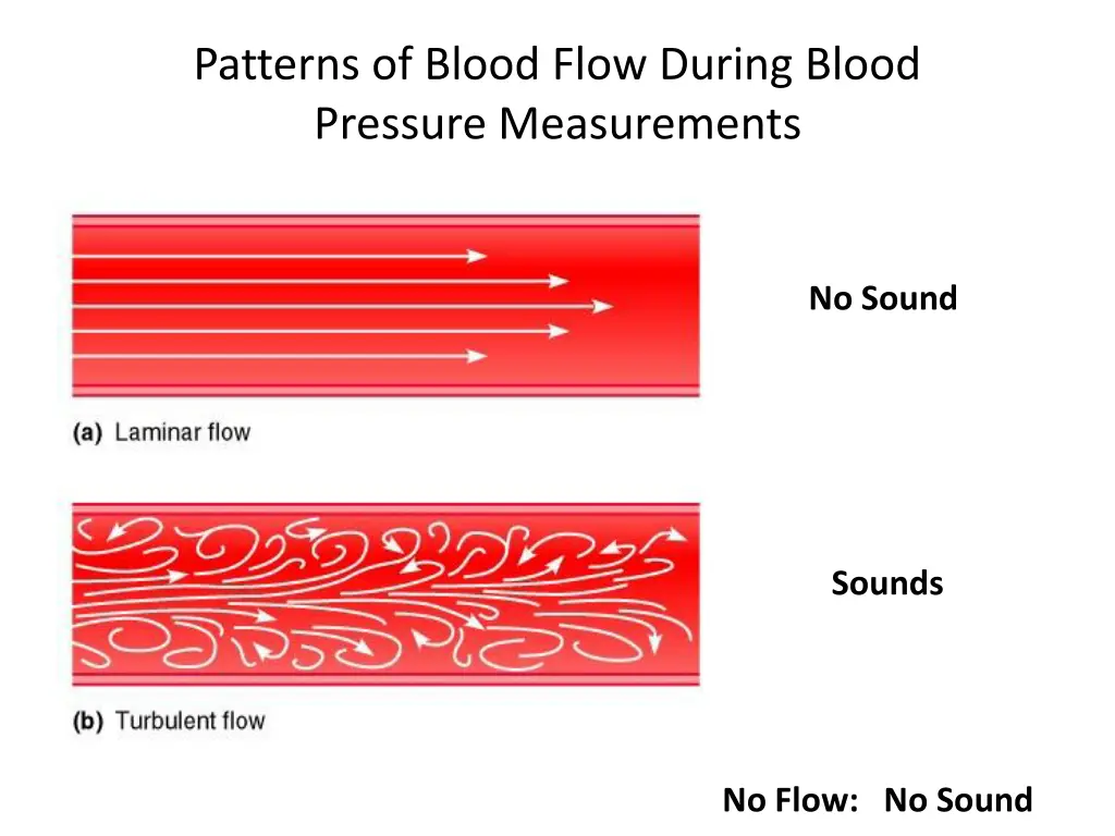 patterns of blood flow during blood pressure