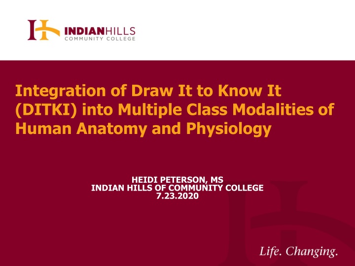 integration of draw it to know it ditki into