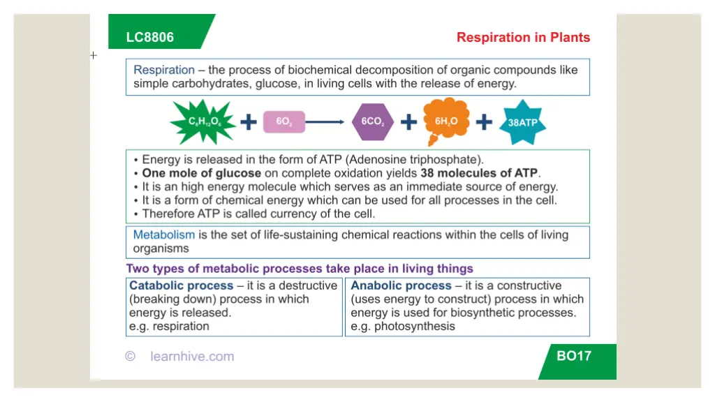 slide12