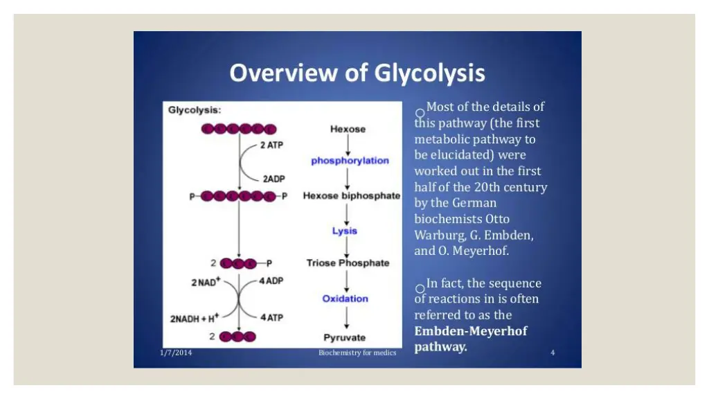 slide20