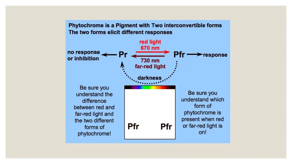 slide22