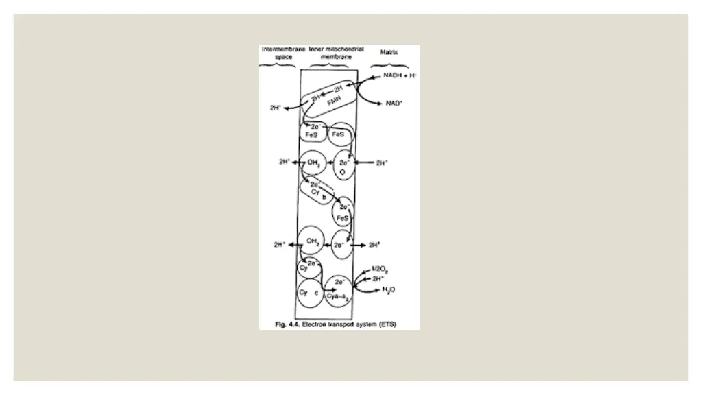slide28