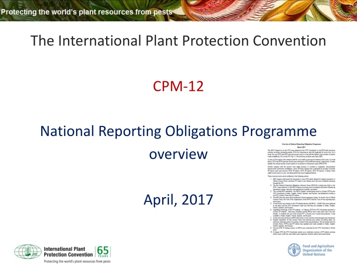 the international plant protection convention