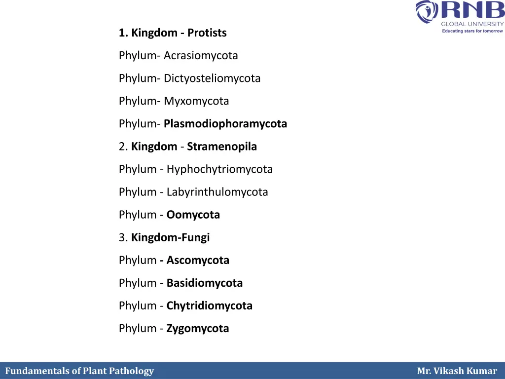 1 kingdom protists