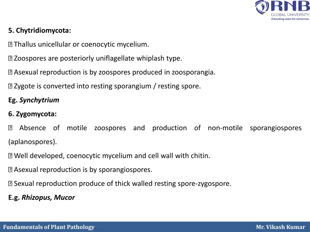 5 chytridiomycota