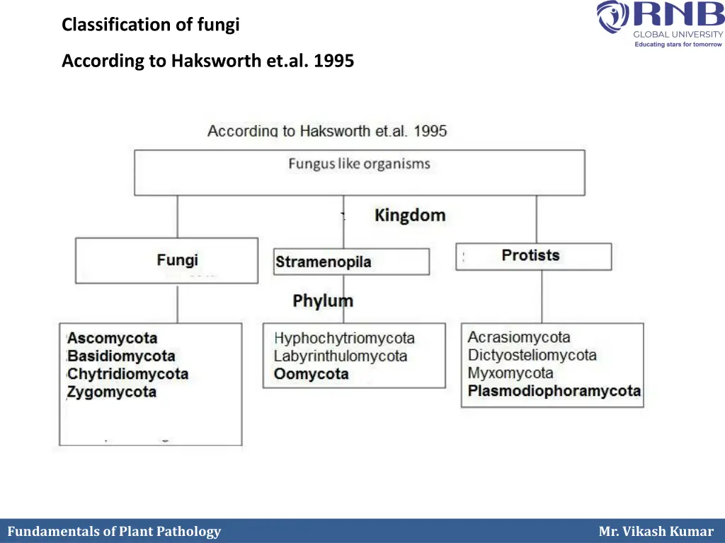 classification of fungi