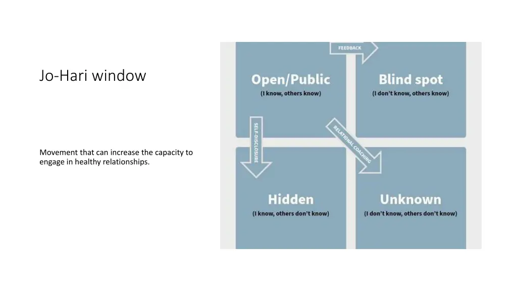 jo hari window