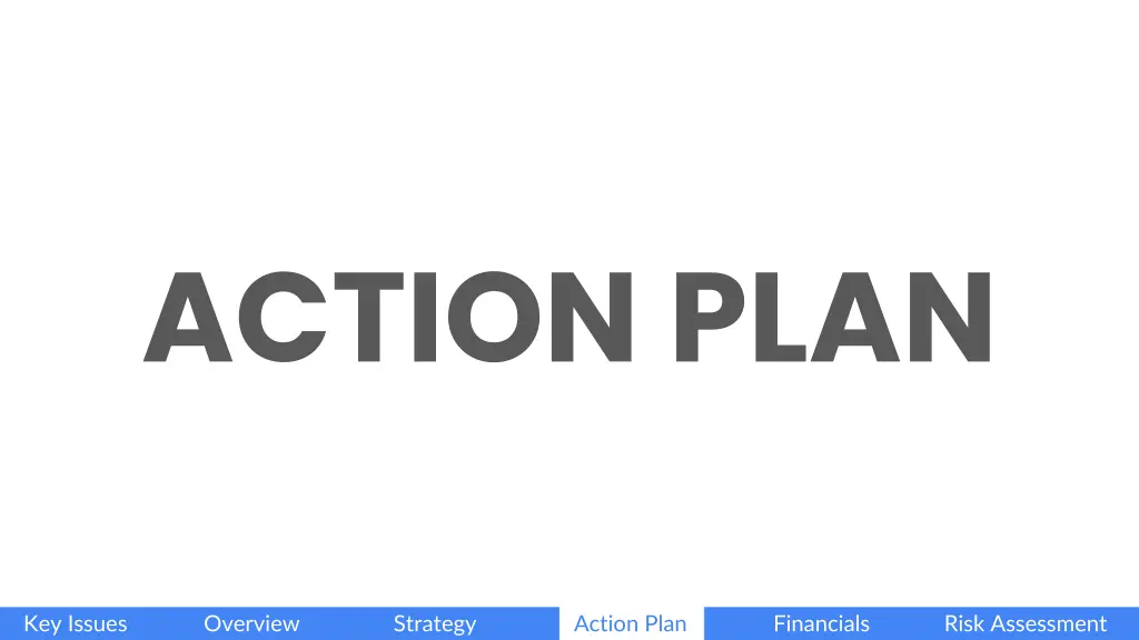 action plan
