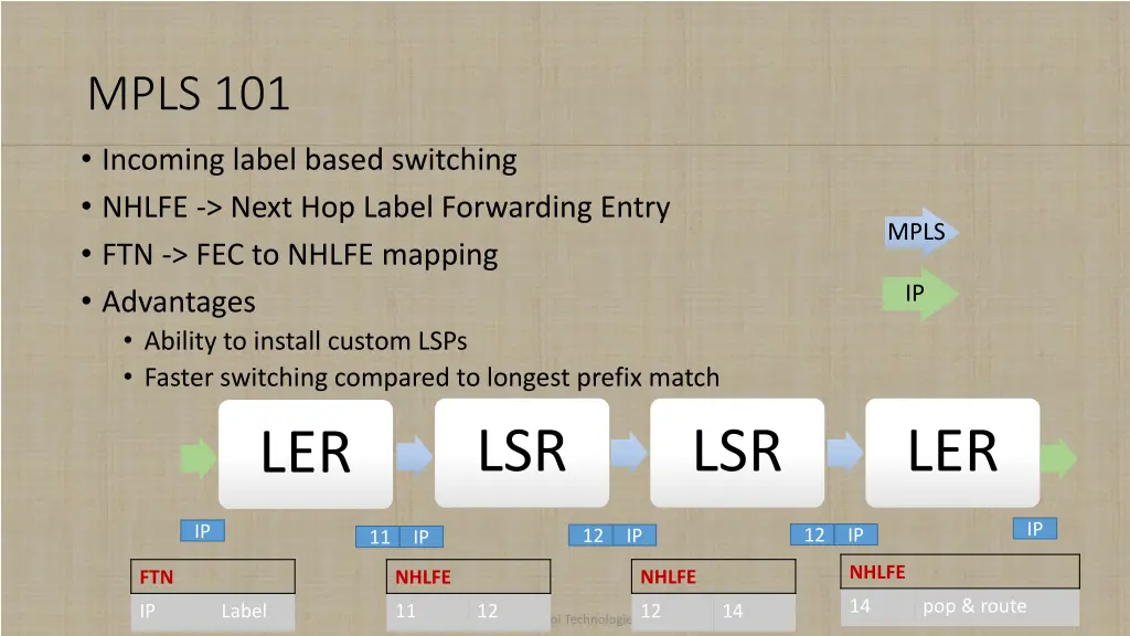 mpls 101