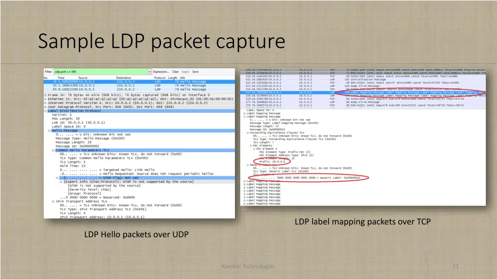 sample ldp packet capture