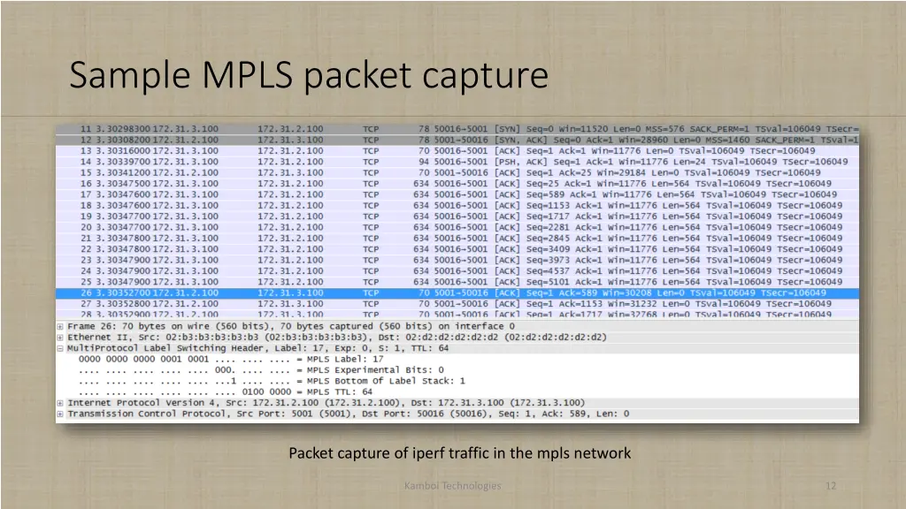 sample mpls packet capture