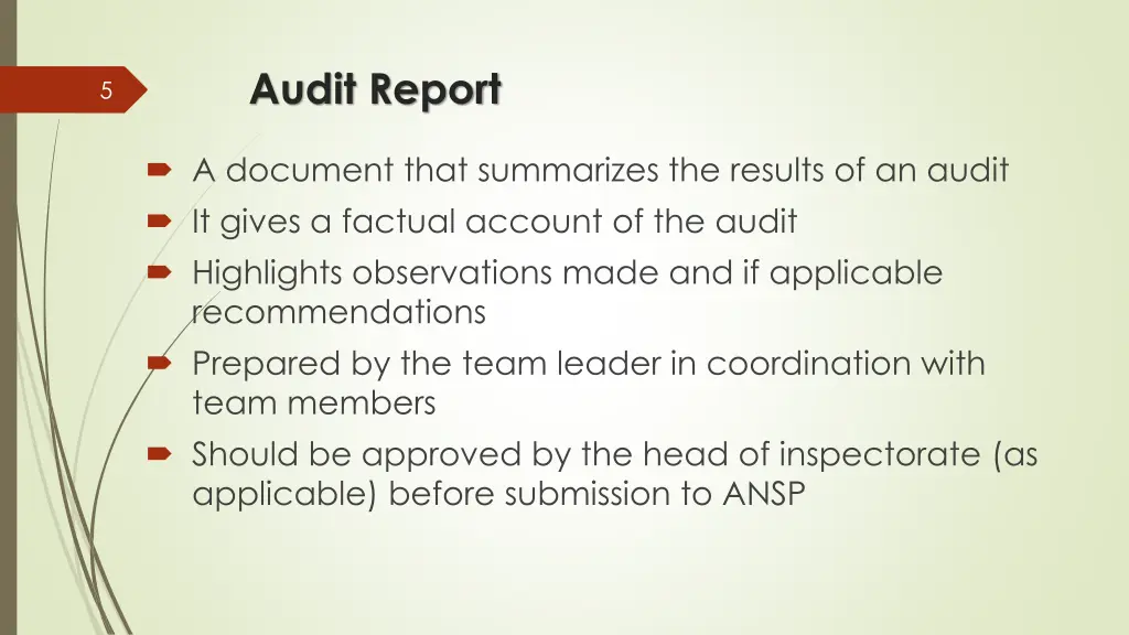 audit report