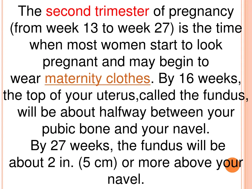 the second trimester of pregnancy from week