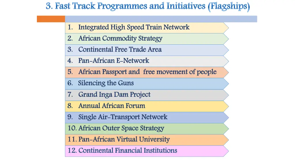 3 fast track programmes and initiatives flagships