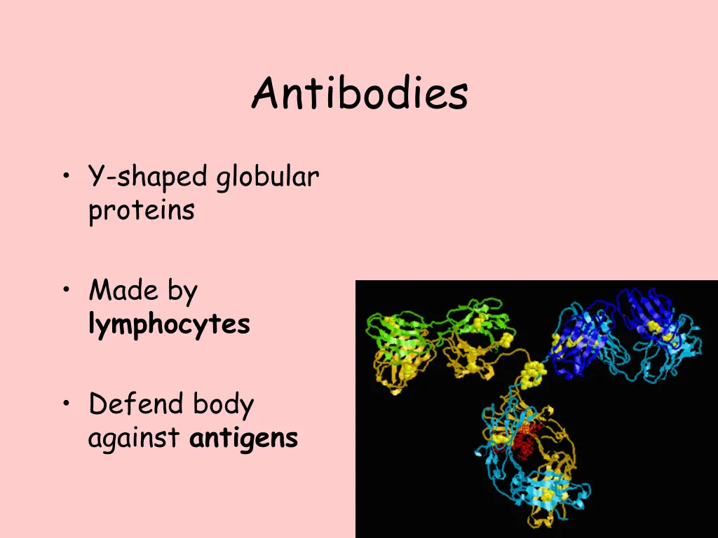 antibodies