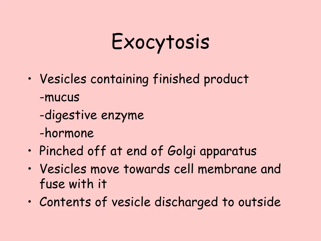 exocytosis