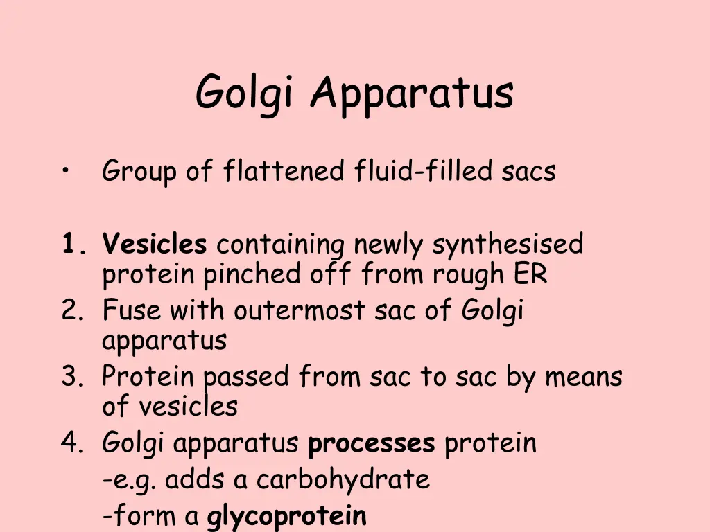 golgi apparatus