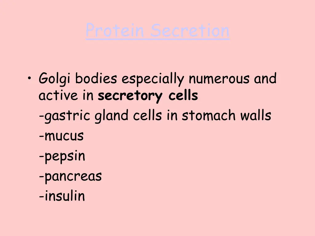protein secretion 1