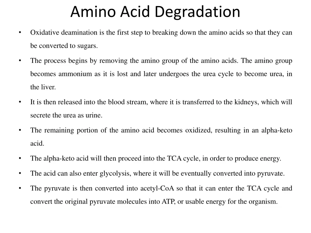 amino acid degradation