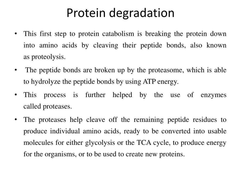 protein degradation