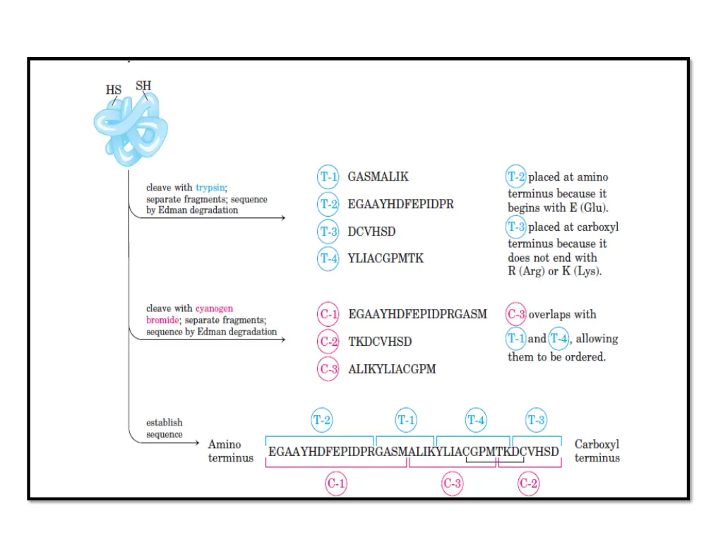 slide11