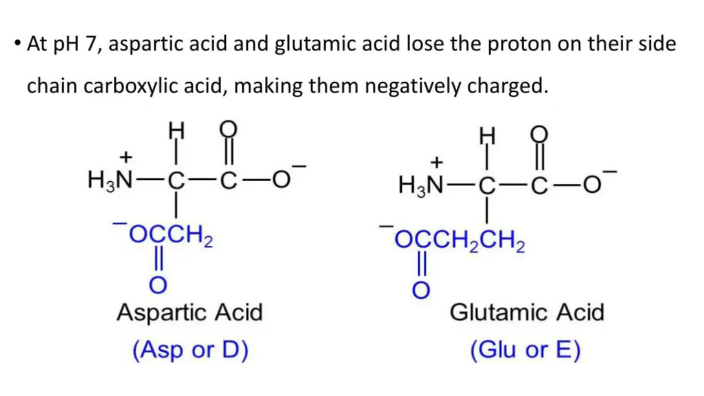 at ph 7 aspartic acid and glutamic acid lose