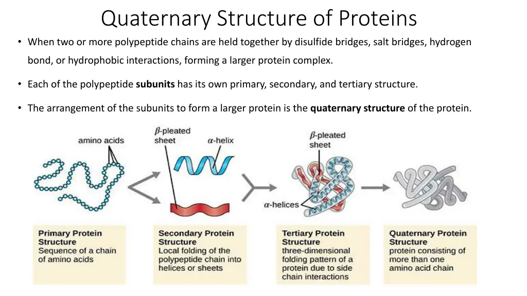 quaternary structure of proteins when two or more