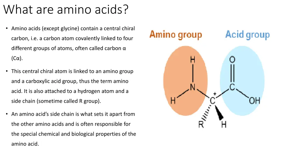what are amino acids 2