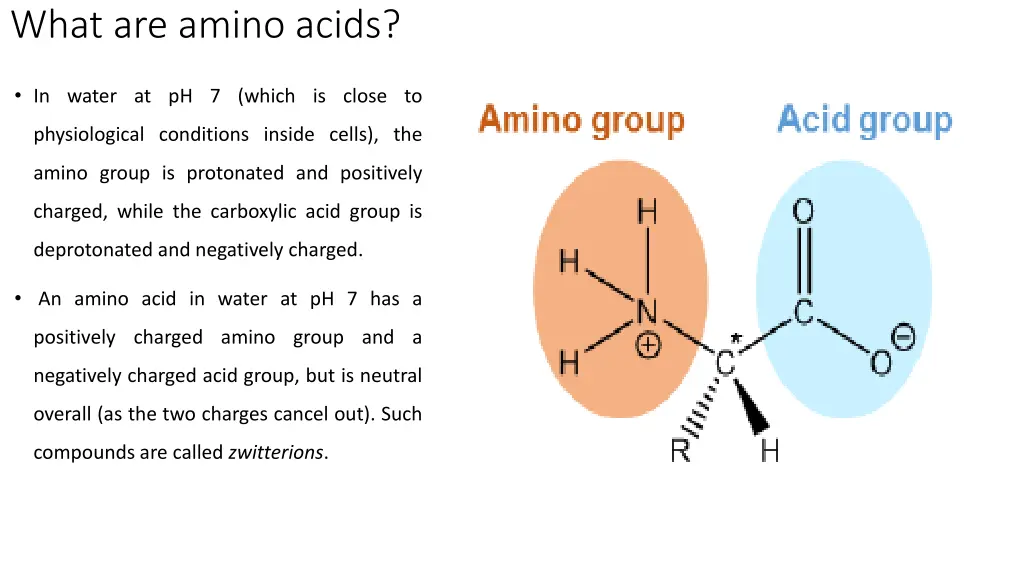 what are amino acids 3