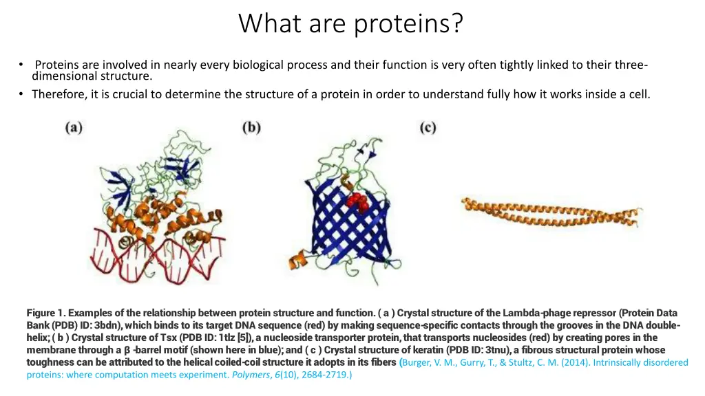 what are proteins 1