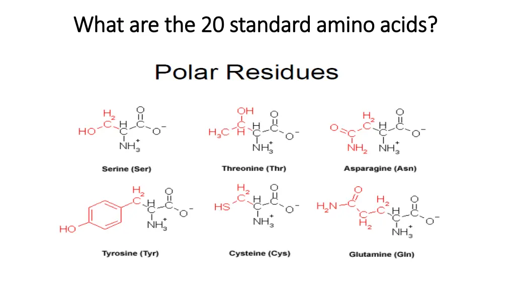 what are the 20 standard amino acids what 1