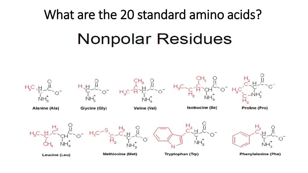 what are the 20 standard amino acids what 2