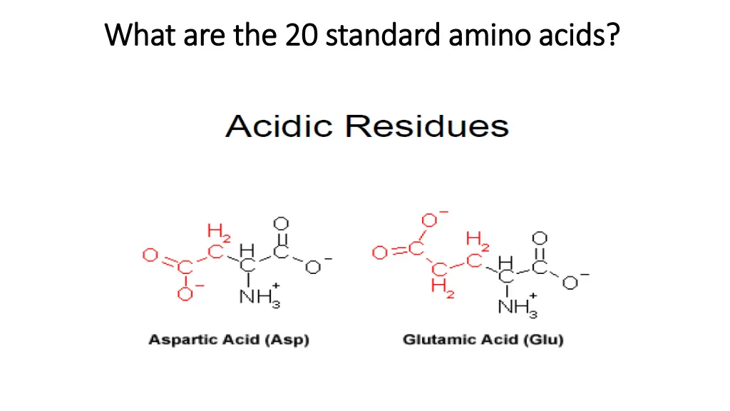 what are the 20 standard amino acids what 3