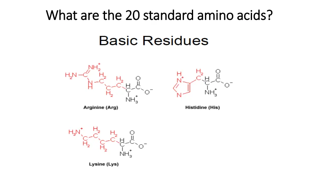 what are the 20 standard amino acids what 4