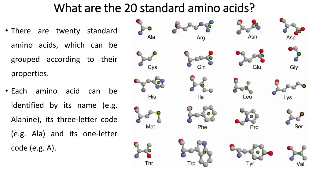 what are the 20 standard amino acids what