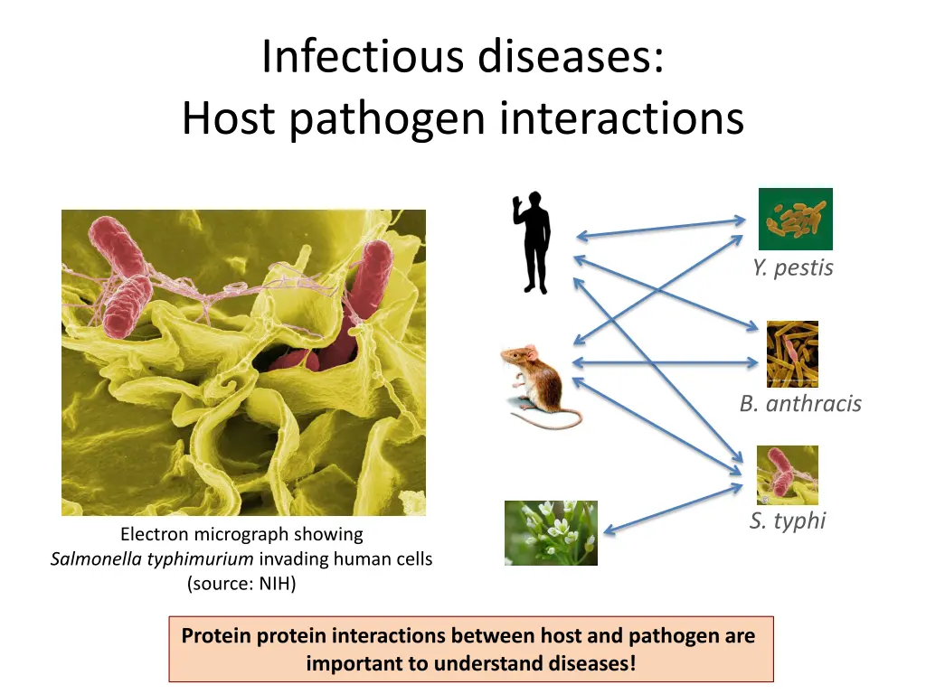 infectious diseases host pathogen interactions